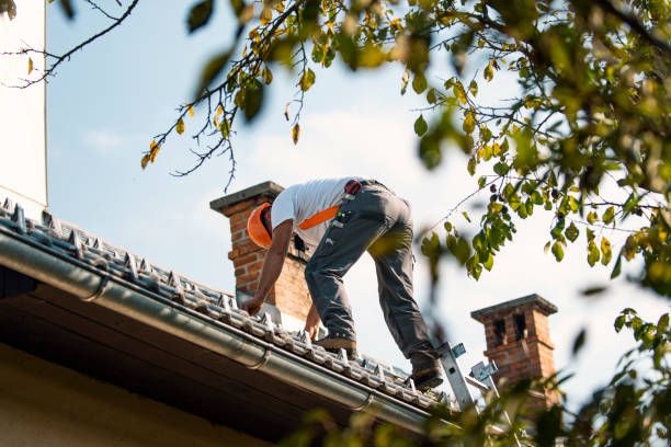 Best Gutter Installation and Roofing  in Kincheloe, MI